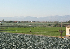 Property for sale in Rojales - Properties for sale in Rojales