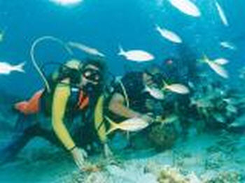 Torrevieja diving club - Scuba Tribe