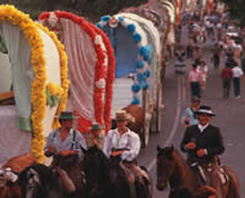 Fiestas in Torrevieja